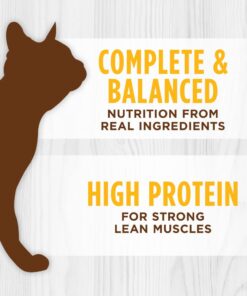 Instinct Original Grain Free Real Chicken Recipe Natural Wet Canned Cat Food, 5.5 Ounce (Pack of 12) 5.5 Ounce (Pack of 12) 22 61xj4M6y6nL