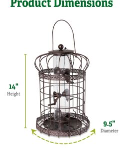 Gardener's Supply Company Edwardian Cage Bird Feeder | Sturdy Squirrel-Proof Outdoor Hanging Hummingbird Feeder with 6 Feeding Ports | Best for Finches & Other Small Birds 10 61xkaS9ONKL