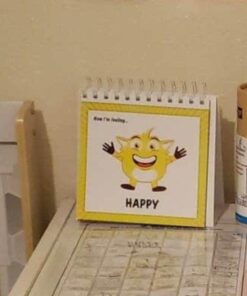 The Original Mood Flipbook for Kids; 20 Different Moods/Emotions; Autism; ADHD; Help Kids Identify Feelings and Make Positive Choices; Laminated Pages (Monster Flipbook) MONSTER (Large - 6.75 x 6.75") 27 61xqloa0XL