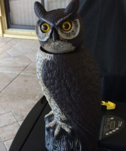 Dalen Fake Owl Decoy to Scare Birds Away from Gardens, Rooftops, and Patios - Scarecrow Provides Chemical-Free Pest Control - Safe and Humane, 18" 360º Rotating Head 43 61xuFh0pVyL