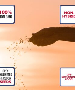 Survival Essentials Ultimate Heirloom Seed Vault, 144 Variety Packed in Superior Ammo Can, Over 23k Garden Seeds for Planting Vegetables and Fruits, for Survival and Emergency Supply, Non-GMO 20 61xvgGjqlqL