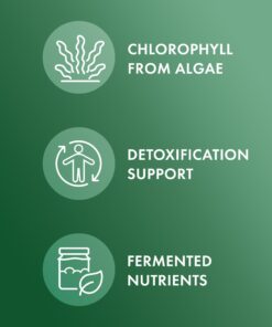Dr. Mercola Fermented Chlorella with Chlorophyll, 90 Servings (450 Tablets), Dietary Supplement, Supports Immune and Organ Health, Non GMO, NSF Certified 12 61xvjTYEgL