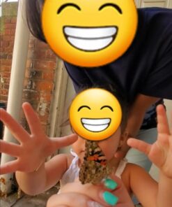 5 Live Caterpillars Shipped Now- Butterfly Kit Refill 59 61xyOOOoE7L