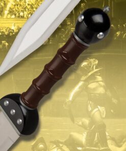 Fantasy Master Gladiator Warrior Twin Sword Set and Sheath 4 61y4RGjYnKL