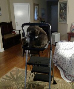 Cosco Three Step Max Steel Work Platform 33 61y5Ce2vu2L