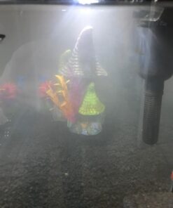 CaribSea Eco-Complete 20-Pound Planted Aquarium, Black 20 POUNDS 26 61y9E857LyL