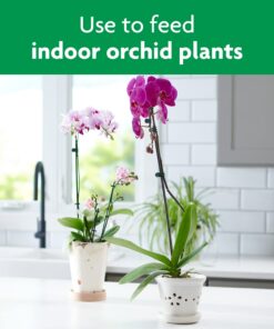 Miracle-Gro Ready-To-Use Orchid Plant Food Mist, 8 oz., Feeds Plants Instantly, 1 Pack 33 61yEIMaCR8L