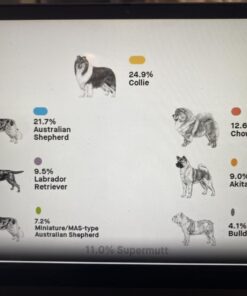 Embark Breed & Health Kit - Dog DNA Test - Discover Breed, Ancestry, Relative Finder, Genetic Health, Traits, COI 1 Count (Pack of 1) 47 61yF8AgLCIL 3