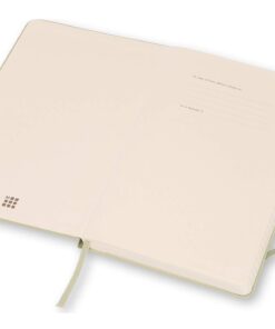 Moleskine Classic Notebook, Hard Cover, Large (5" x 8.25") Ruled/Lined, Willow Green, 240 Pages 11 61yGCYuKIKL