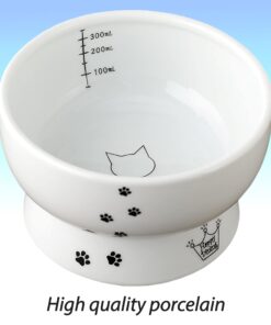 Necoichi Raised Cat Water Bowl, Elevated, with Measurement Lines, Dishwasher and Microwave Safe (Cat, Regular) 31 61yJYD0SExL