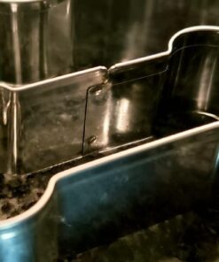 Fox Run Dog Bone Cookie Cutter Set, Stainless Steel, 3-Piece 3 piece 29 61yJYycBGbL