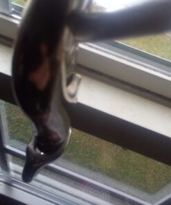 Hanging Chair/Hammock Chair Swivel Hook Snap - 500 LB Capacity - Outdoor/Indoor (500 LB Weight Limit) by Impresa 500 LB WEIGHT LIMIT 22 61yKBM8DfL