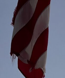 American Flags for Outside 5X8 -American Flag 5x8 Made in USA -Heavy Duty Flags Outdoor with Embroidered Stars and Sewn Stripes 5x8 US Flag for High Wind- All Weather Flags 5 by 8 Foot 34 61yKuN421qL