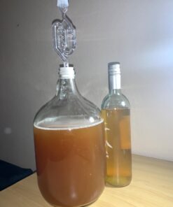 FastRack 1 gal Glass Wine Fermenter, INCLUDES Rubber Stopper and Twin Bubble Airlock, Multicolor 1 Count (Pack of 1) 30 61yQSyatpnL