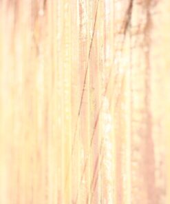 Hoya ALPHA CIR-PL 49MM 18 61ySAUmMtML