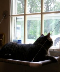 Kitty Cot Original World's Best Cat Perch (Large) Black Color Kitty Cot Large 47 61yUo4JwtpL