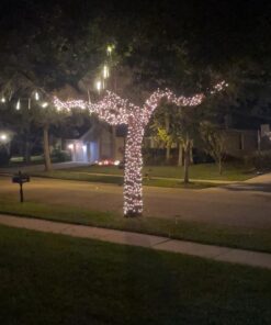 Kasa Outdoor Smart Plug, Smart Home Wi-Fi Outlet with 2 Sockets, IP64 Weather Resistance, Compatible with Alexa, Google Home & IFTTT, No Hub Required, ETL Certified(EP40), Black 2-Socket 27 61yWM4l2QNL