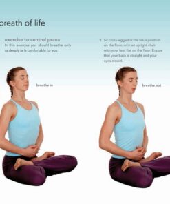 The Chakra Bible: The Definitive Guide to Working with Chakras (Volume 11) (Mind Body Spirit Bibles) Paperback, Illustrated 29 61ybg6I0bKL