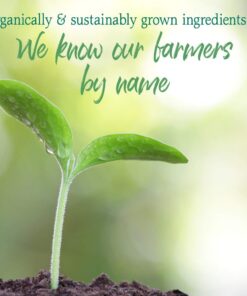 Garden of Life Raw Organic Perfect Food Green Superfood Juiced Greens Powder - Apple Flavor, 30 Servings - Vegan Gluten Free Whole Food Dietary Supplement, Greens Plus Probiotics & Enzymes 30 Servings (Pack of 1) 22 61yeNgb2jSL 1