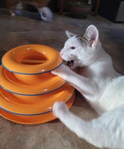 Catstages Tower of Tracks Interactive 3-Tier Cat Toy 27 61z1BQ2fyrL