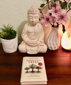 The Hidden Life of Trees: What They Feel, How They Communicate―Discoveries from A Secret World (The Mysteries of Nature, 1) 17 61z5UGMrhAL