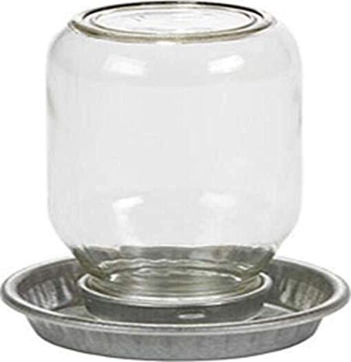 Little Giant Miller 957782 Mason Jar Baby Chick Waterer Clear, 1 Quart