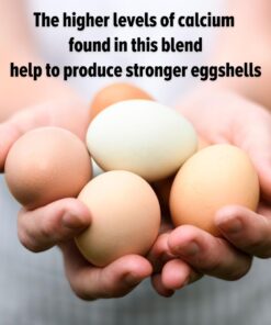 Scratch and Peck Feeds Organic Layer Chicken Feed with Corn for Chickens and Ducks - 25-lbs - Non-GMO Project Verified, Always Soy Free - 1004-25 10 61z7d5awARL