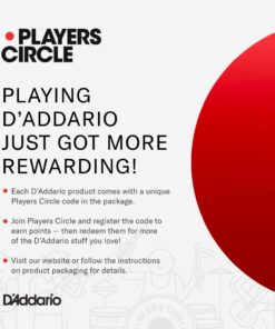 D'Addario Guitar Strings - Acoustic Guitar Strings - Nickel Bronze - For 6 String Guitar - Natural, Clear, & Focused Tone - NB1253 - Light, 12-53 Guitar String 11 61zCJQhteQL