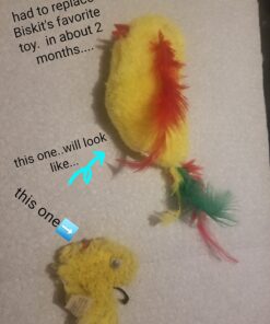 SPOT by Ethical Products A-Door-Able Plush Bird Cat Toy with Feathers – Interactive Cat Toy for Indoor Cat – with Catnip 4.5" 18 61zCnB2j6xL