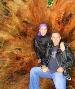 Raw Rev Vegan High-Protein Bars, Creamy Peanut Butter & Sea Salt, 12g Plant Based Protein, 13g Fiber, 1.6 Oz, Pack of 12 12 Count (Pack of 1) 19 61zDhekQT8L