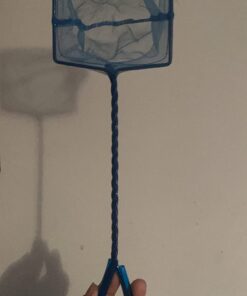 PENN-PLAX Quick-Net Aquarium Fish Nets – Durable, Strong, and Safe – Color May Vary (Blue or Green) 4" Net 36 61zEKJbP QL