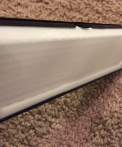 Neato Robotics 945-0215 HEPA Air Filter for Vacuum Cleaner-2 Pack, Black 16 61zOeozQhwL