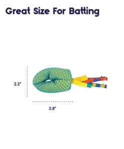 Petstages Dental Health Chews Pair Dental Chew 25 61zZoHGdQaL