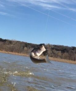 KastKing 327yds-30lb-0.25mm X4-Low-Vis Gray 46 61zdbT54veL