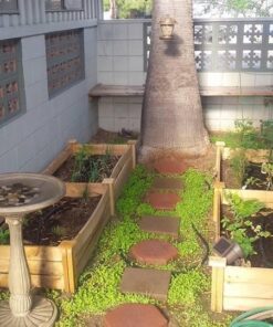 Greenes Fence 2 Ft. X 8 Ft. X 10.5 In Raised Garden Kit, Cedar 31 61zeVCJoiYL