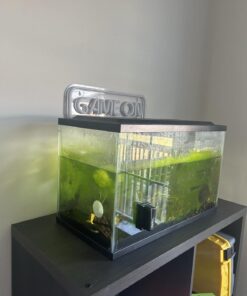 Aqueon Aquarium Algae Cleaning Magnets Glass/Acrylic, Small, Black 31 61zhmKmb43L