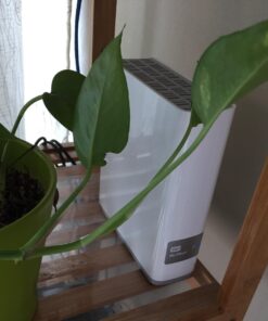 WD 4TB My Cloud Personal Network Attached Storage - NAS - WDBCTL0040HWT-NESN Single Drive 34 61zmqomUfL 1