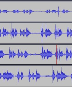 Olympus VN-541PC digital voice recorder with one-touch recording, noise-cancellation function, 4GB memory, four scenes recording, includes a micro-USB cable. 24 61zpq3LYplL