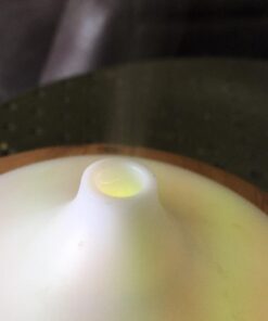 doTERRA Ylang Ylang Essential Oil - 15 ml Sweet, rich, spicy 0.51 Fl Oz (Pack of 1) 15 61zrEOv6wPL