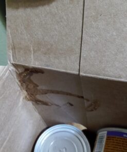 Purina Friskies Gravy Wet Cat Food Variety Pack, Poultry Shreds, Meaty Bits & Prime Filets - (32) 5.5 oz. Cans 43 61ztEBco0cL