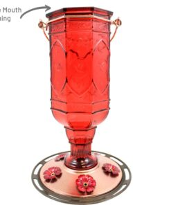 More Birds Red Jewel Hummingbird Feeder, Glass Hummingbird Feeders for Outdoors, 5 Feeding Stations, 20 Ounces Standard Packaging 23 61ztgN96mZL