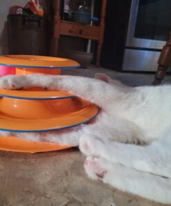 Catstages Tower of Tracks Interactive 3-Tier Cat Toy 28 61zupPabgWL