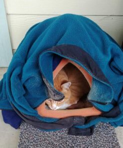 K&H Pet Products Self-Warming Crate Pad, Warming Dog Crate Bed, Machine Washable Dog Crate Mat, Mocha X-Small 14 x 22 Inches 22.0"L x 14.0"W x 1.0"Th 41 61zvMpoGL