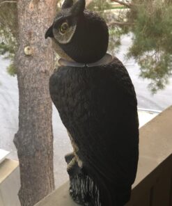 Dalen Fake Owl Decoy to Scare Birds Away from Gardens, Rooftops, and Patios - Scarecrow Provides Chemical-Free Pest Control - Safe and Humane, 18" 360º Rotating Head 42 71 0QPh9YFL