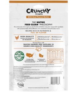 NUTRO Crunchy Dog Treats with Real Peanut Butter, 10 oz. Bag 10 Ounce (Pack of 1) 12 71 10BKMQ6L
