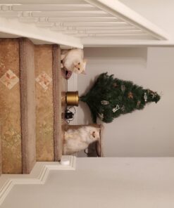 Purina Fancy Feast Dry Cat Food with Savory Chicken and Turkey - 12 lb. Bag Chicken & Turkey 12 Pound (Pack of 1) 45 71 2 nDeH8L