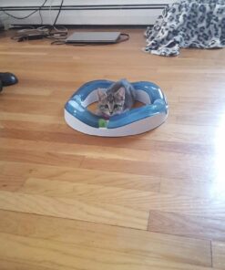 Catit Design Senses Speed Circuit 22 71 23IaKvpL