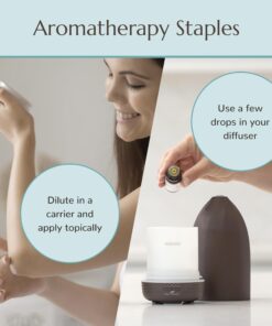 Plant Therapy 7 & 7 Essential Oils Set 7 Single Oils: Lavender, Peppermint & More, 7 Synergy Blends 100% Pure, Undiluted, Natural Aromatherapy, Therapeutic Grade 10 mL (1/3 oz) 7 & 7 Set 0.34 Fl Oz (Pack of 14) 22 71 2aemGoyL