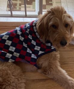 Blueberry Pet Chic Argyle All Over Dog Sweater in Navy Blue, Back Length 20", Pack of 1 Clothes for Dogs 20 inch (Pack of 1) Argyle Navy Blue 29 71 2bVwgDgL 1