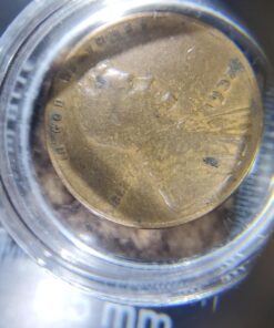 Abraham Lincoln Wheat Penny Rolls 2 Pack 16 71 3vPgVouL